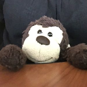 Meet your Posher, Lucy